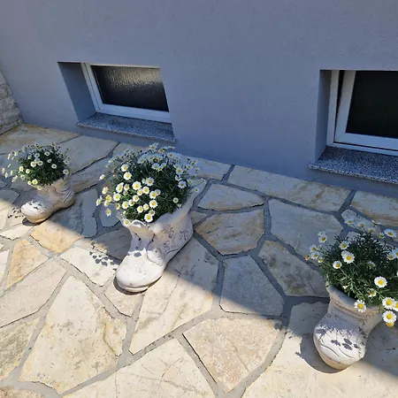 בית הארחה Cosy Near The זאדאר