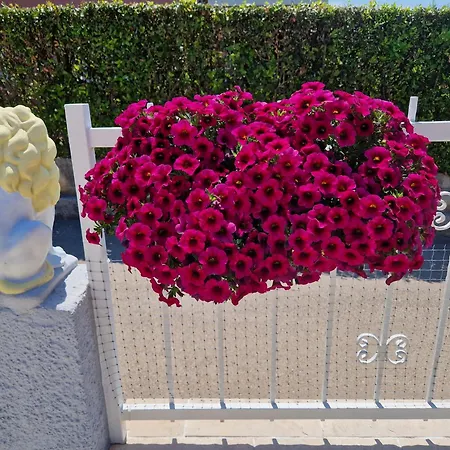 Cosy Near The בית הארחה 3*