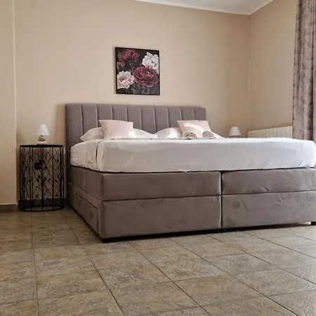 Cosy Near The Ζαντάρ