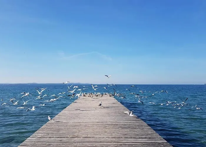 Cosy Near The בית הארחה