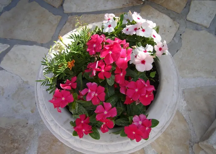 בית הארחה Cosy Near The